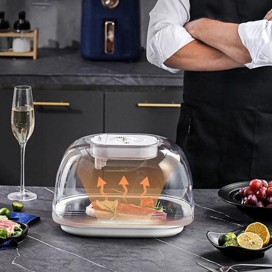 🔥🔥Machine de décongélation d'ingrédients pour viande congelée à la maison