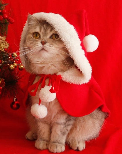 🎄🐈 Cat Christmas Costume with Cape and Hat