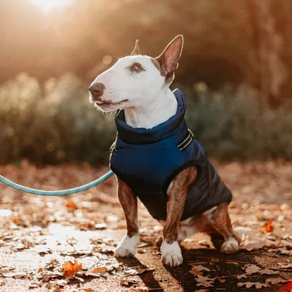 🐶VENTE D'HIVER🐾Manteau chaud imperméable multifonctionnel pour chien