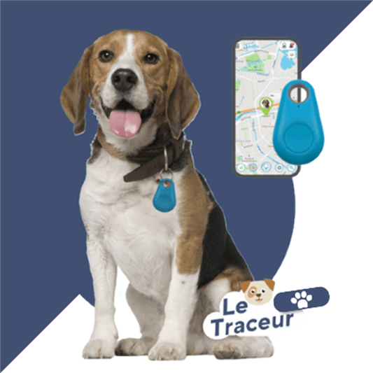 💥Achetez plus, économisez davantage🐾Traceur pour Chiens Chats et Chevaux🐾