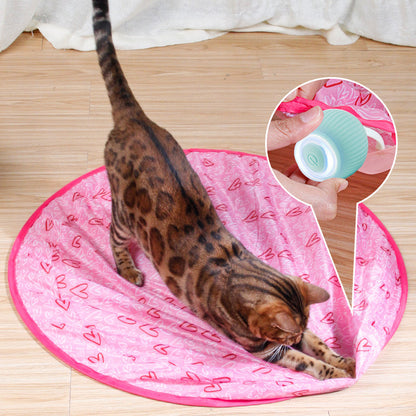 🔥50% OFF NOW🐱2 in 1 Simulated Interactive Hunting Cat Toy